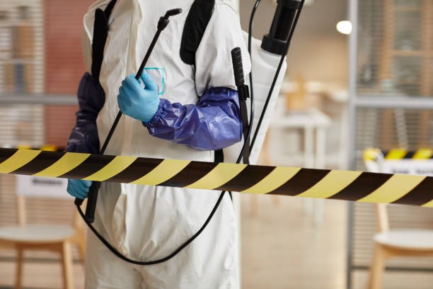 Professional Sewage Cleanup technician working in Santaquin, UT